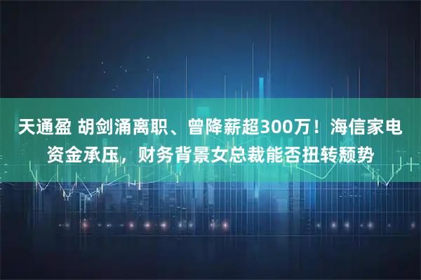 天通盈 胡剑涌离职、曾降薪超300万！海信家电资金承压，财务背景女总裁能否扭转颓势