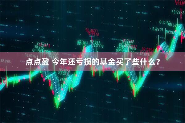 点点盈 今年还亏损的基金买了些什么？